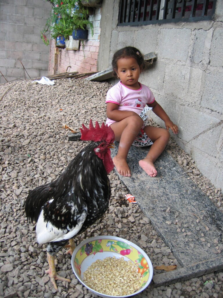 Jasmín plays outside her maternal grandmother's home in Tegucigalpa in 2003.